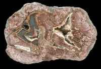 Felsenschlag Thunderegg